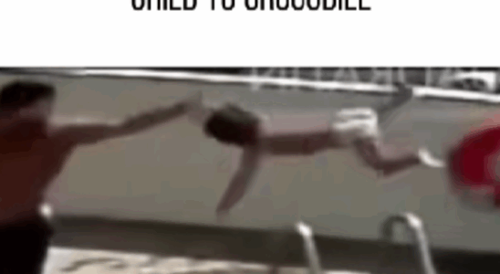 Shocking Scene by the Pool: Family Argument Turns Into Tragedy — Police Investigating Disturbing Incident Shocking Scene by the Pool: Family Argument Turns Into Tragedy — Police Investigating Disturbing Incident